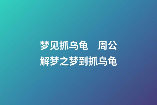 梦见抓乌龟　周公解梦之梦到抓乌龟